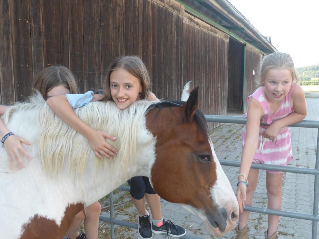 Espi-Stables Ferienhof Esterhammer Либенау Экстерьер фото