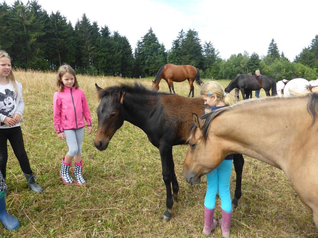 Espi-Stables Ferienhof Esterhammer Либенау Номер фото
